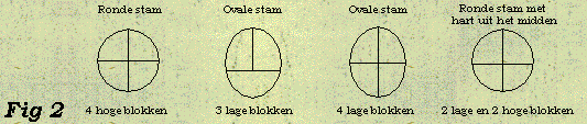 Optimaal gebruik van
                het hout